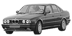 BMW E34 P010B Fault Code